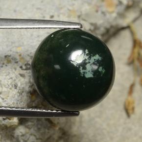 Eliotropio naturale verde da 8,69 ct, taglio rotondo, opaco