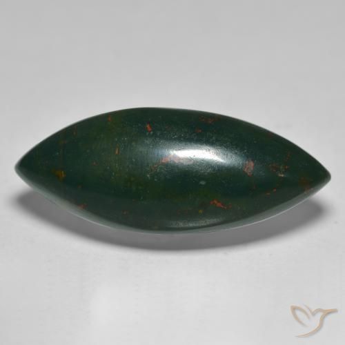 15.61ct Naturale Verde scuro Pietra del sangue, Taglio marquise, Opaco
