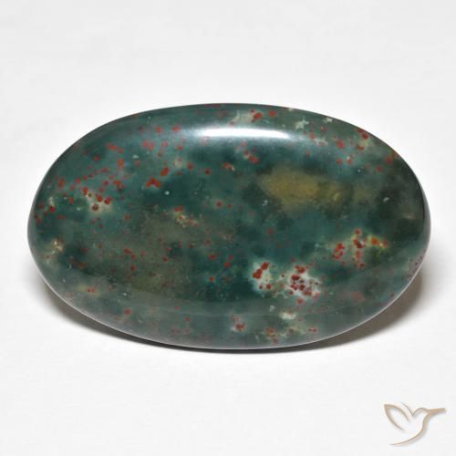Pietra del sangue Multicolore naturale da 21.79 ct, Ovale, Opaco