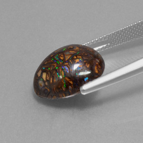 Opale boulder naturale multicolore da 9,07 ct, forma fantasia, opaco