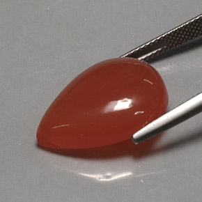 Corniola Arancio rosso naturale da 13.63 ct, Trasparente, Trasparente/Traslucido