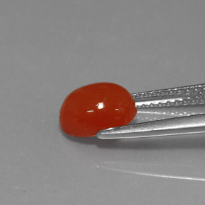 Corniola Arancio rosso naturale da 1.56 ct, Taglio ovale, Traslucido