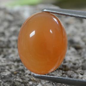 Corniola Arancione rossastra naturale da 2.88 ct, Taglio ovale, Traslucido