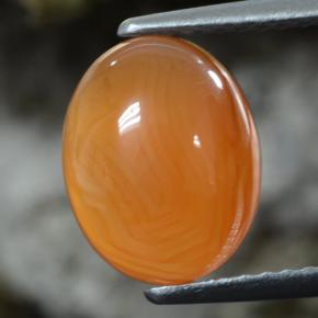 Corniola naturale arancione da 2,92 ct, taglio ovale, traslucido