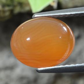 Corniola naturale arancione da 2,92 ct, taglio ovale, traslucido