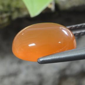 Corniola naturale arancione da 2,92 ct, taglio ovale, traslucido