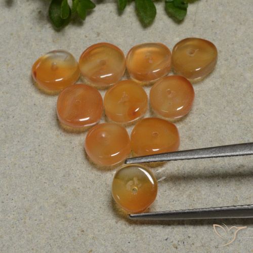 Gemme di Corniola Arancione scuro naturale da 7.53 ct, Taglio a fantasia, Traslucido