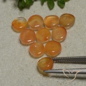 Gemme di Corniola Arancione scuro naturale da 7.53 ct, Taglio a fantasia, Traslucido
