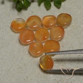 Gemme di Corniola Arancione scuro naturale da 7.53 ct, Taglio a fantasia, Traslucido