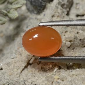 Corniola Arancione scuro naturale da 1.30 ct, Taglio ovale, Traslucido