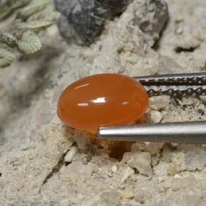 Corniola Arancione scuro naturale da 1.30 ct, Taglio ovale, Traslucido