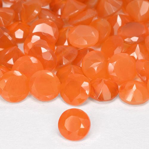 Gemme di Corniola Arancione brillante naturale da 2.46 ct, Taglio rotondo, Traslucido