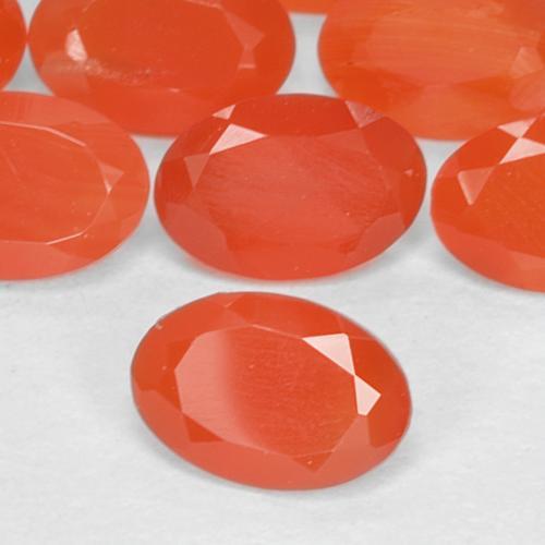 Gemme di Corniola Arancio scuro rossastro naturale da 1.55 ct, Taglio ovale, Traslucido