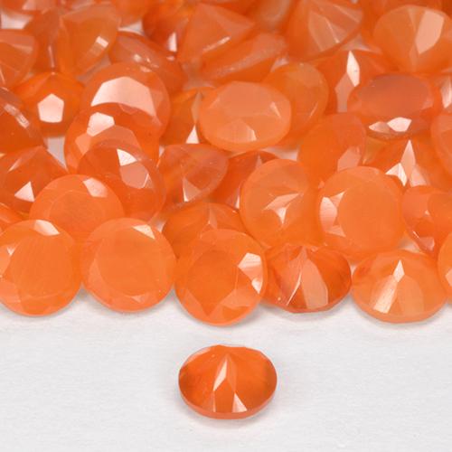 Gemme di Corniola Arancione brillante naturale da 0.49 ct, Taglio rotondo, Traslucido