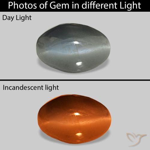 Cat's Eye Alexandrite Grigio medio naturale da 1.00 ct, Ovale, Opaco