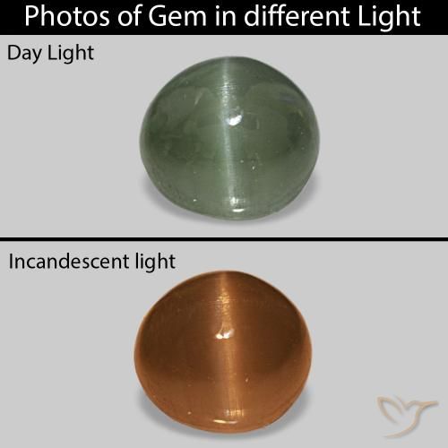 0.59ct Verde medio Cat's Eye Alexandrite, Ovale, Opaco