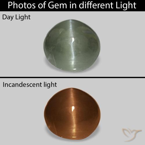 0.54ct Verde medio Cat's Eye Alexandrite, Ovale, Opaco