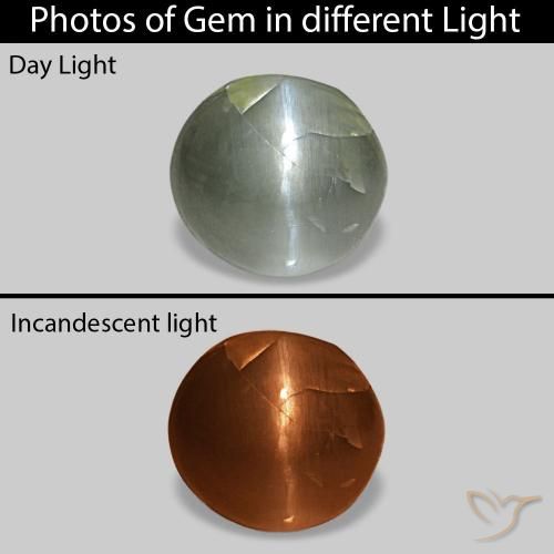 0.51ct Grigio verde Cat's Eye Alexandrite, Ovale, Opaco