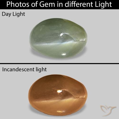 0.62ct Verde medio Cat's Eye Alexandrite, Ovale, Opaco