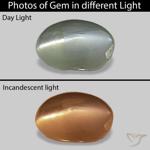 Cat's Eye Alexandrite Verde medio naturale da 0.71 ct, Ovale, Opaco