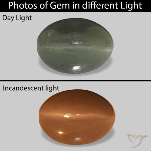 Cat's Eye Alexandrite Verde medio naturale da 0.61 ct, Ovale, Opaco