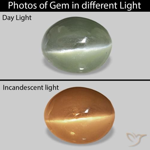 Cat's Eye Alexandrite Grigio verde naturale da 0.70 ct, Ovale, Opaco