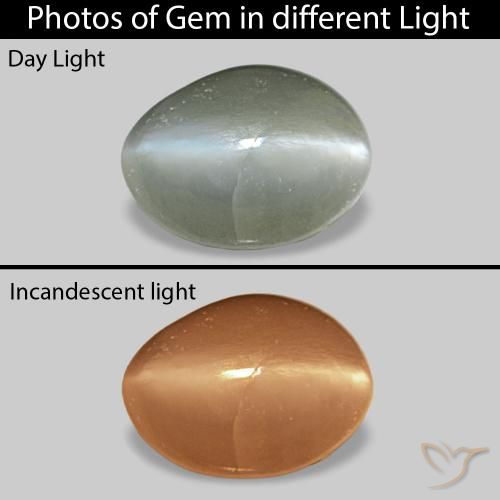 0.40ct Verde medio Cat's Eye Alexandrite, Ovale, Opaco