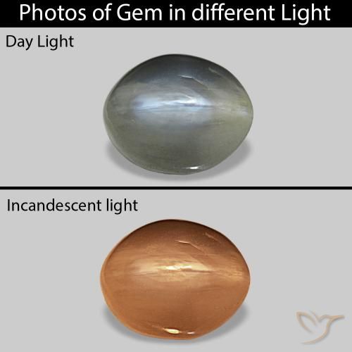 0.72ct Grigio medio Cat's Eye Alexandrite, Ovale, Opaco