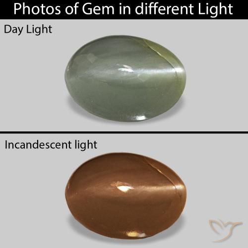 0.56ct Verde medio Cat's Eye Alexandrite, Ovale, Opaco