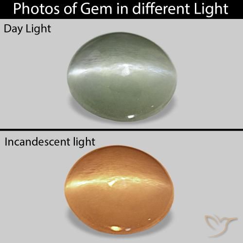 Cat's Eye Alexandrite Verde medio naturale da 0.56 ct, Ovale, Opaco