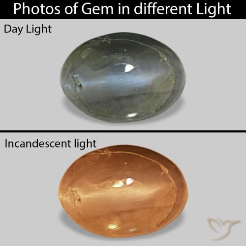 Cat's Eye Alexandrite Grigio verdastro pallido naturale da 0.52 ct, Ovale, Opaco