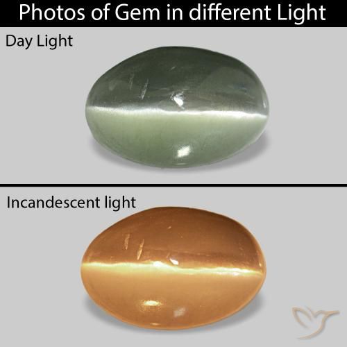 Cat's Eye Alexandrite Grigio verde naturale da 0.73 ct, Ovale, Opaco