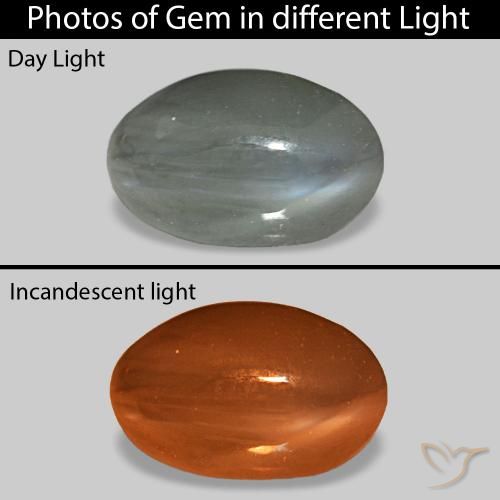 Cat's Eye Alexandrite Grigio medio naturale da 0.92 ct, Ovale, Opaco