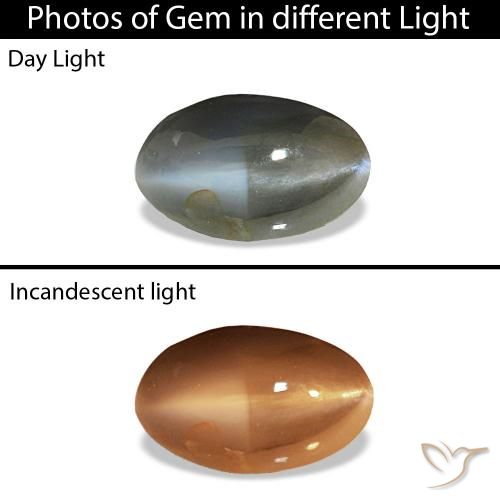 0.51ct Grigio verdastro pallido Cat's Eye Alexandrite Pietre preziose, Ovale, Opaco