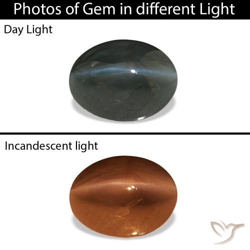 Cat's Eye Alexandrite Grigio acciaio naturale da 0.96 ct, Ovale, Opaco