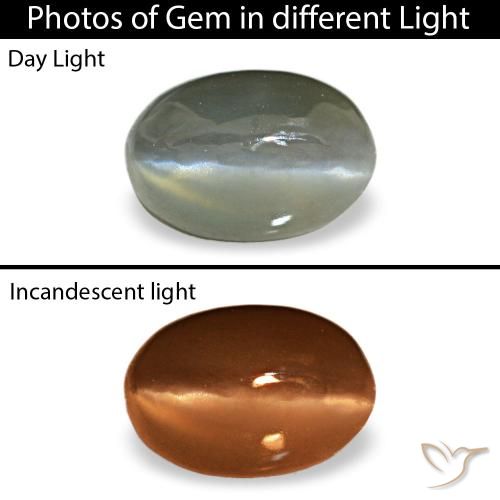 0.50ct grigio cat's eye alexandrite, ovale, opaco