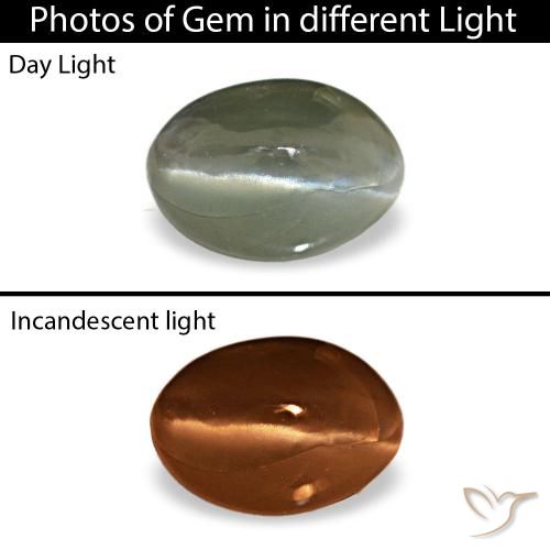 Cat's eye alexandrite naturale grigio da 0,49 ct, taglio ovale, opaco