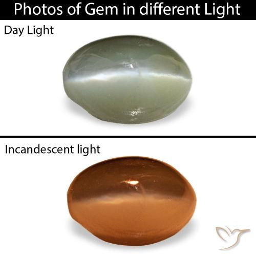 Cat's eye alexandrite naturale verde da 0,59 ct, taglio ovale, opaco