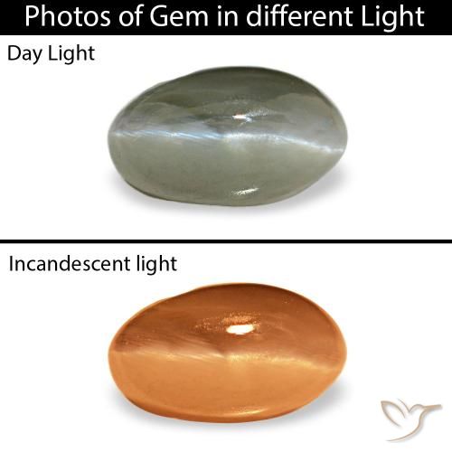 Cat's eye alexandrite naturale verde da 0,50 ct, taglio ovale, opaco