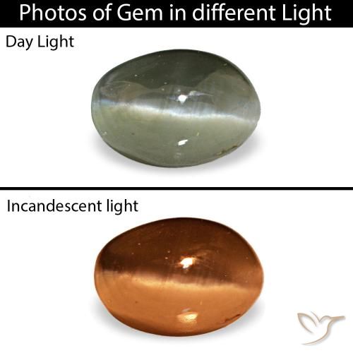 Cat's eye alexandrite naturale verde da 0,49 ct, taglio ovale, opaco