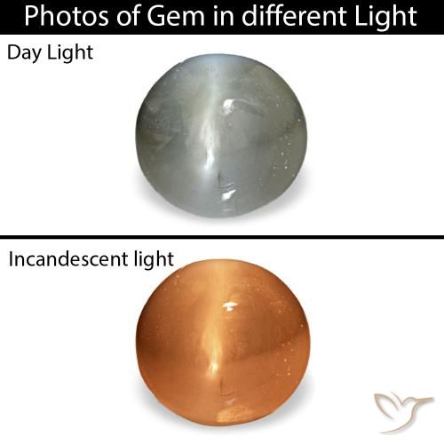 Cat's eye alexandrite naturale grigio da 0,51 ct, taglio ovale, opaco