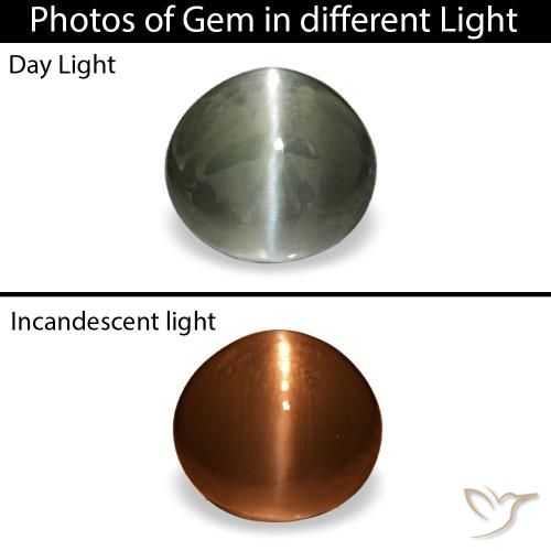 0.42ct grigio cat's eye alexandrite, ovale, opaco