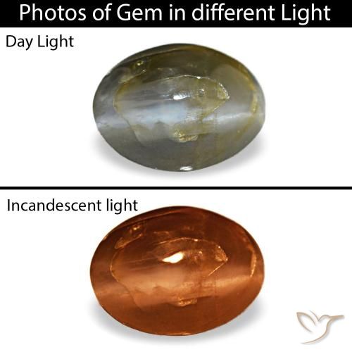 Cat's eye alexandrite naturale grigio da 0,48 ct, taglio ovale, opaco