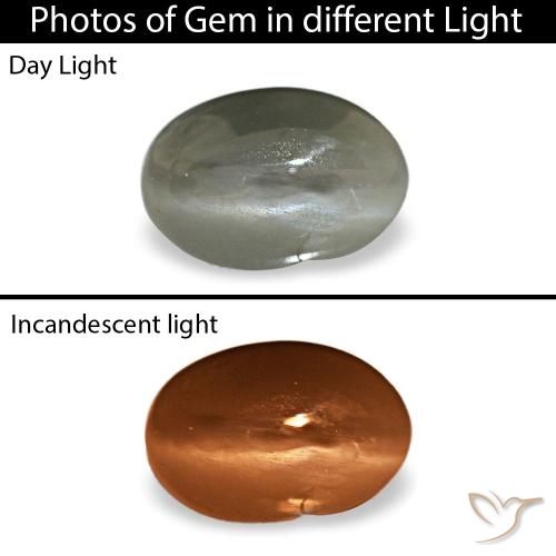 Cat's eye alexandrite naturale grigio da 0,35 ct, taglio ovale, opaco