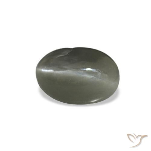 Cat's eye alexandrite naturale grigio da 0,35 ct, taglio ovale, opaco