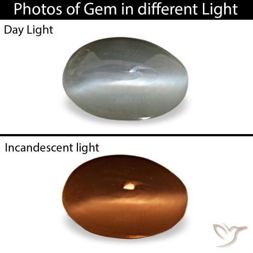0.33ct grigio cat's eye alexandrite, ovale, opaco