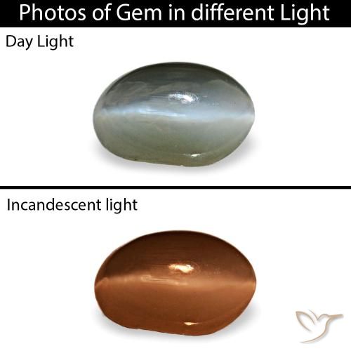 Cat's eye alexandrite naturale grigio da 0,40 ct, taglio ovale, opaco