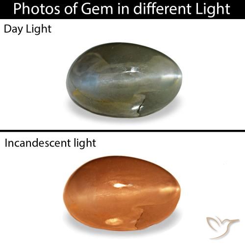Cat's eye alexandrite naturale grigio da 0,46 ct, taglio ovale, opaco
