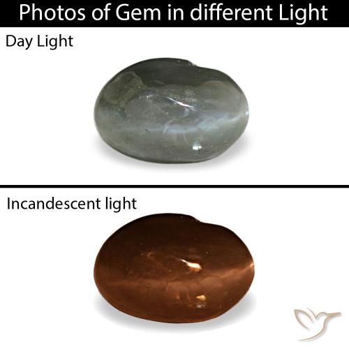 0.41ct grigio cat's eye alexandrite, ovale, opaco