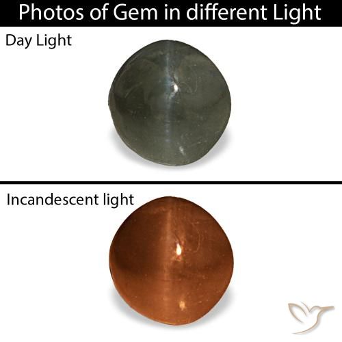 0.66ct grigio cat's eye alexandrite, rotondo, opaco